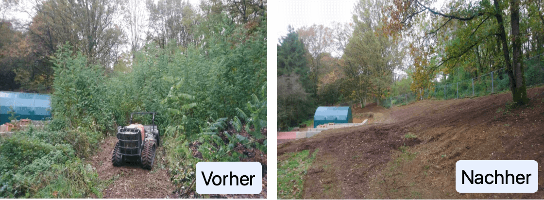 Forst mulchen-vorher-nachher