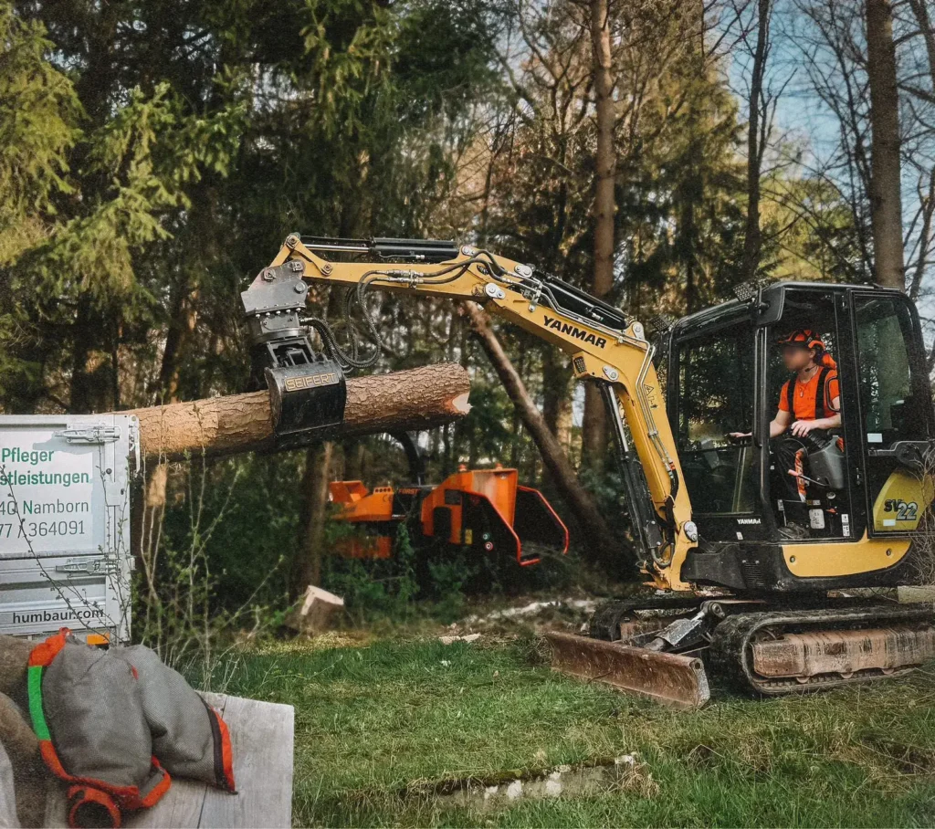 Abtransport von Stammholz