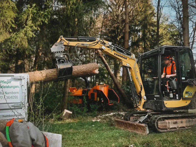 Abtransport von Stammholz