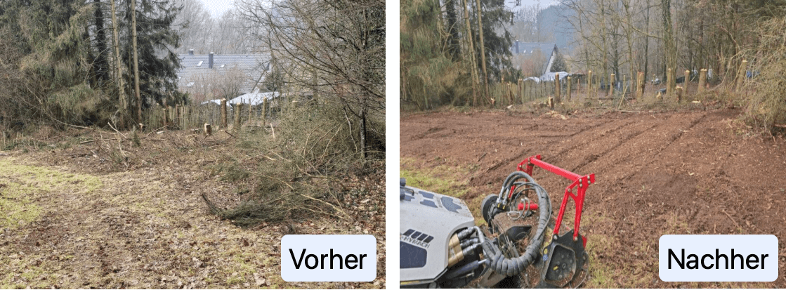 astmulchen-vorher-nachher