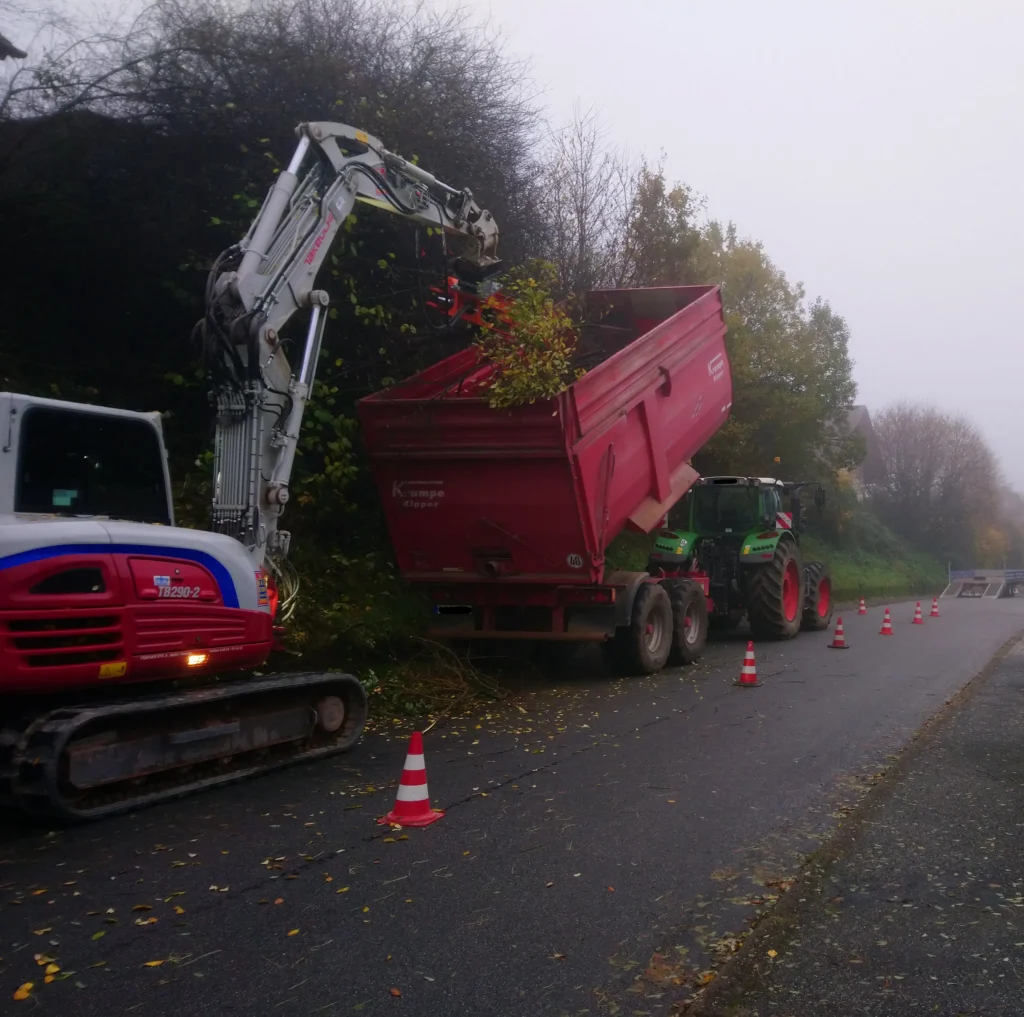 Böschungsrodung – gerodete Uferböschung