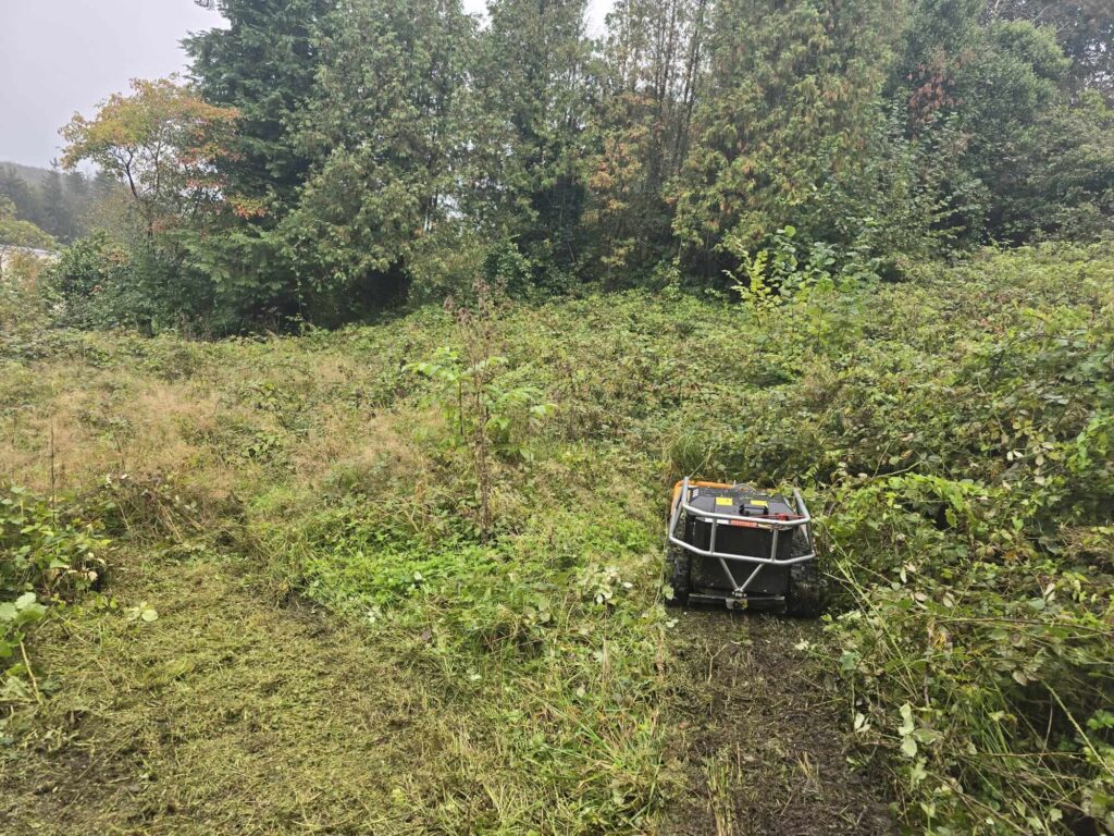 Rekultivierte Fläche nach Pflegearbeiten