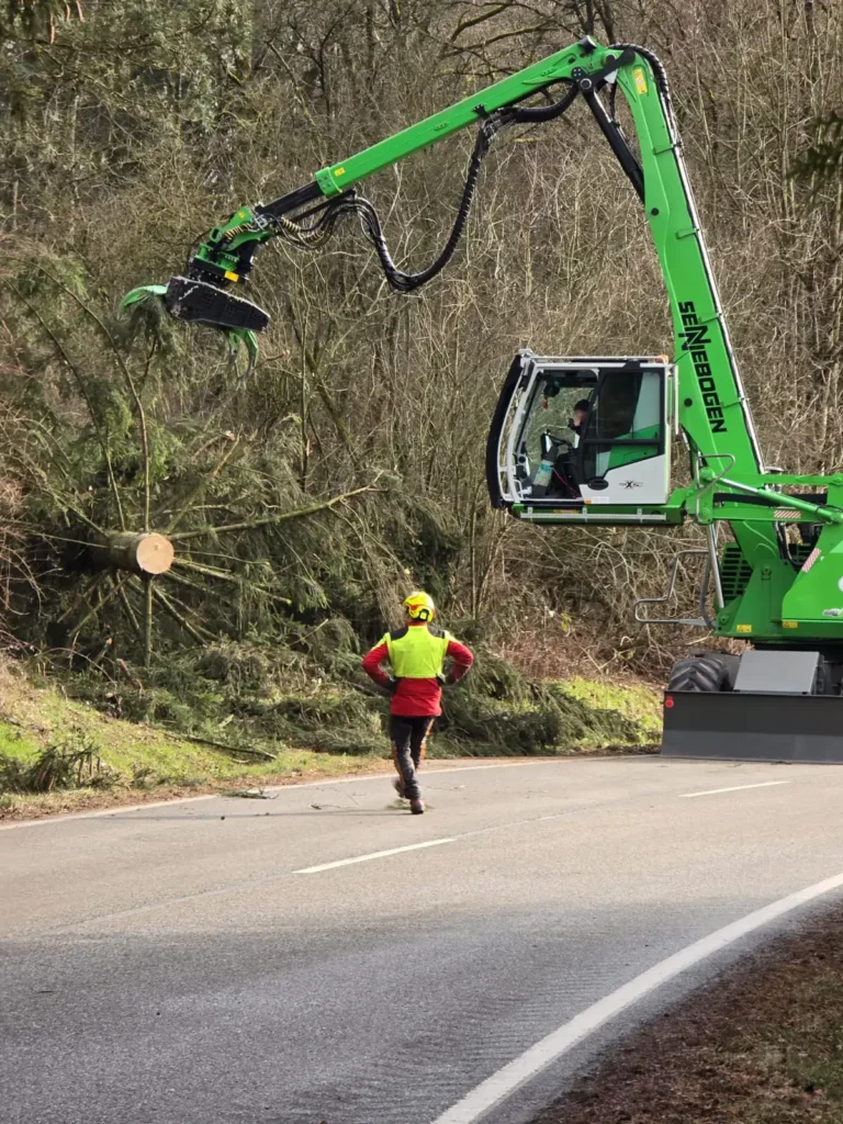 Spezialfällung mit Bagger