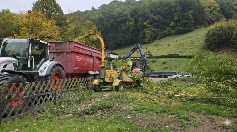 Häckselarbeiten: Häcksler zerkleinert Astwerk direkt in einen Anhänger