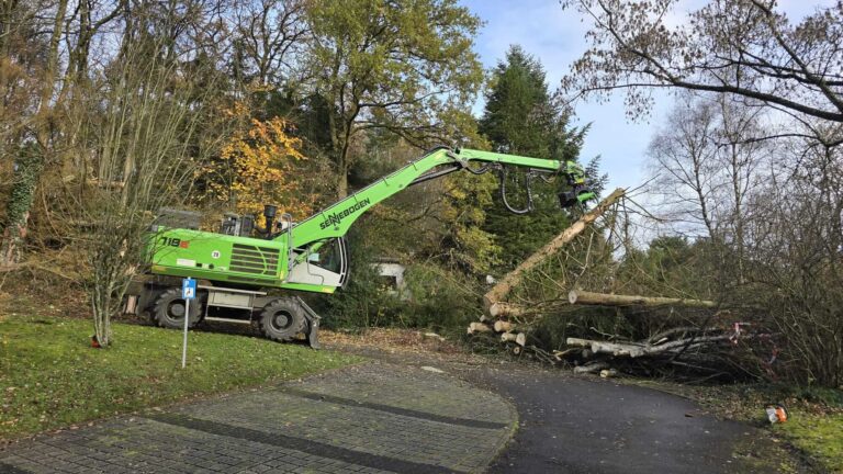 Maschinenunterstützte Baumfällung: Bagger greift gefällten Stamm