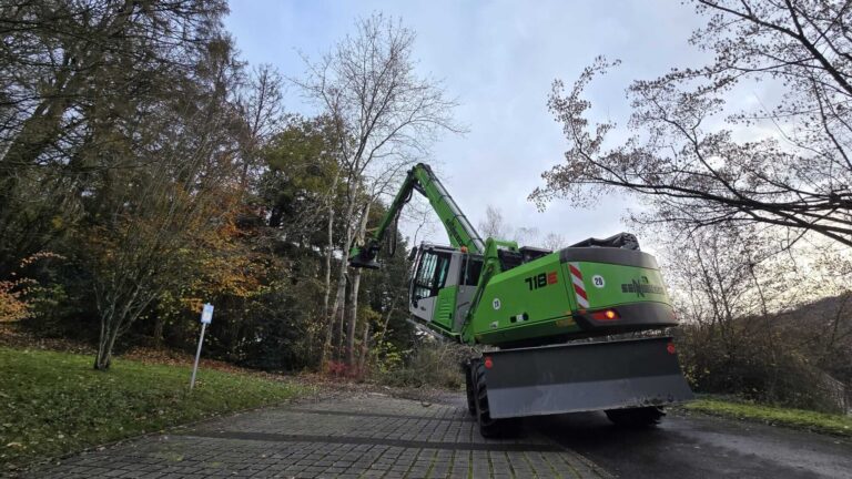 Maschinenunterstützte Baumfällung: Bagger schneidet stehenden Baum
