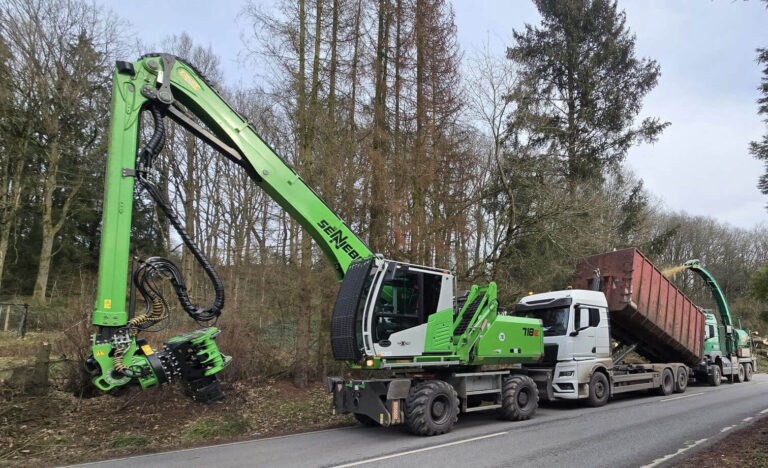 Spezialfällung mit Bagger