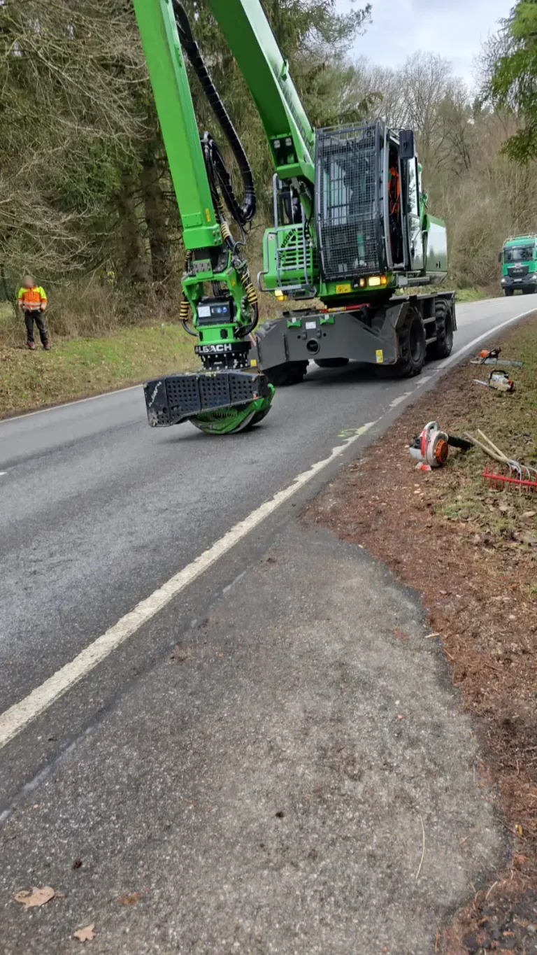 Spezialfällung mit Bagger